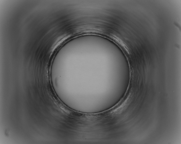 X0000091950782200709061038