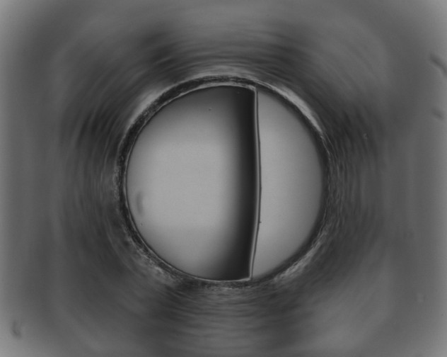 X0000091950783200709061038