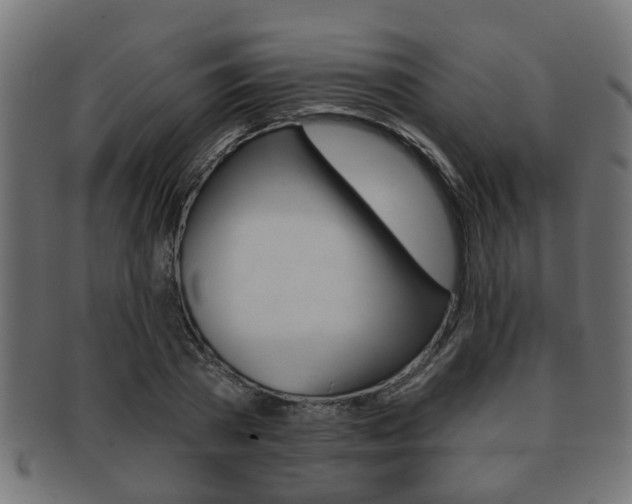 X0000091950785200709061038