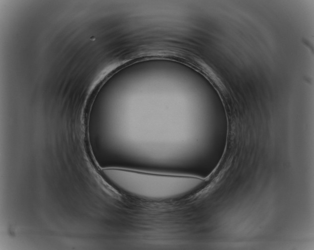 X0000091950787200709061038