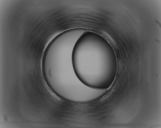 X0000091950788200709061038