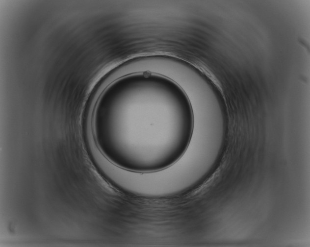 X0000091950789200709061038