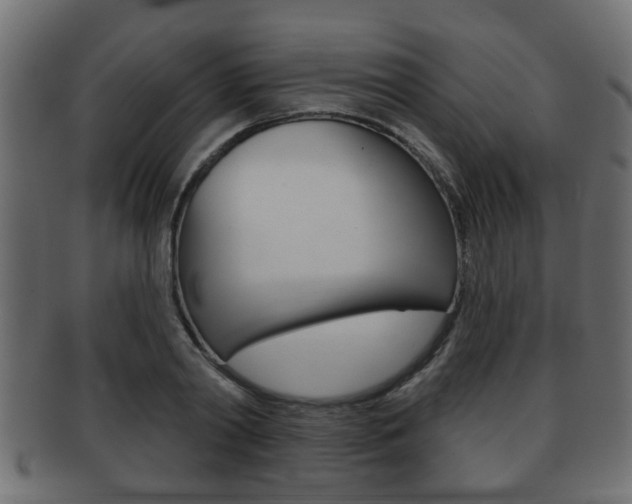 X0000091950790200709061038