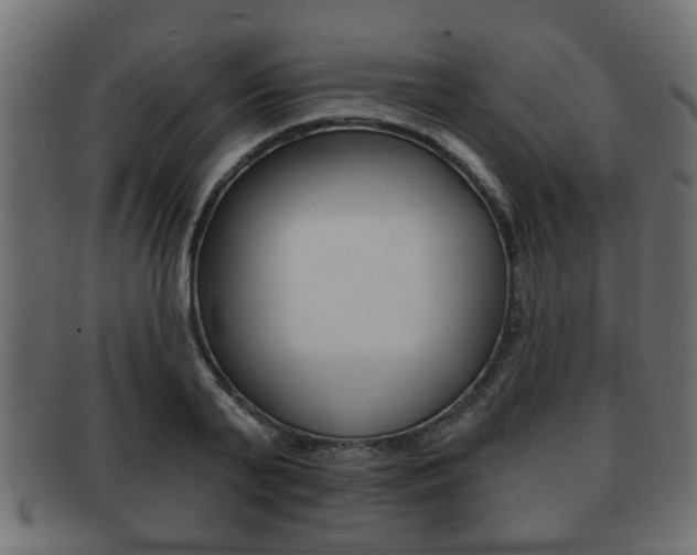 X0000091950791200709061038