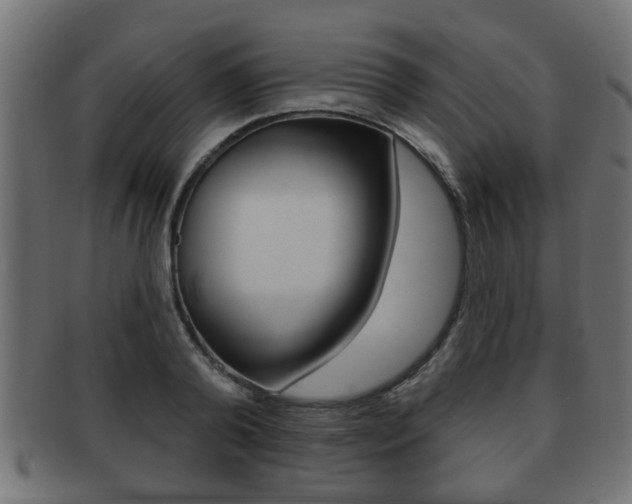 X0000091950792200709061038