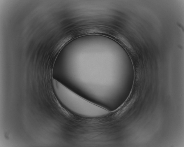 X0000091950793200709061038