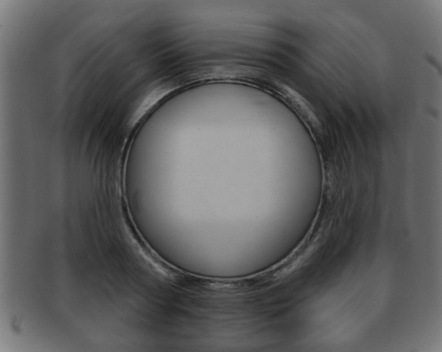 X0000091950794200709061038