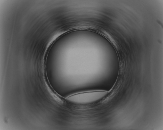 X0000091950795200709061038