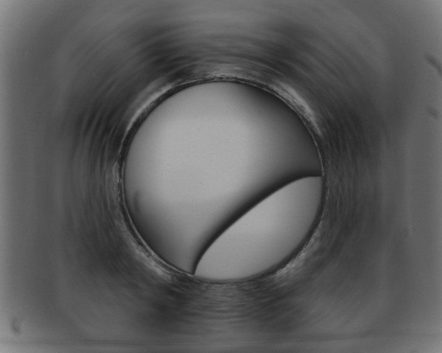 X0000091950798200709061038