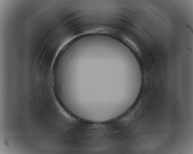 X0000091950800200709061038