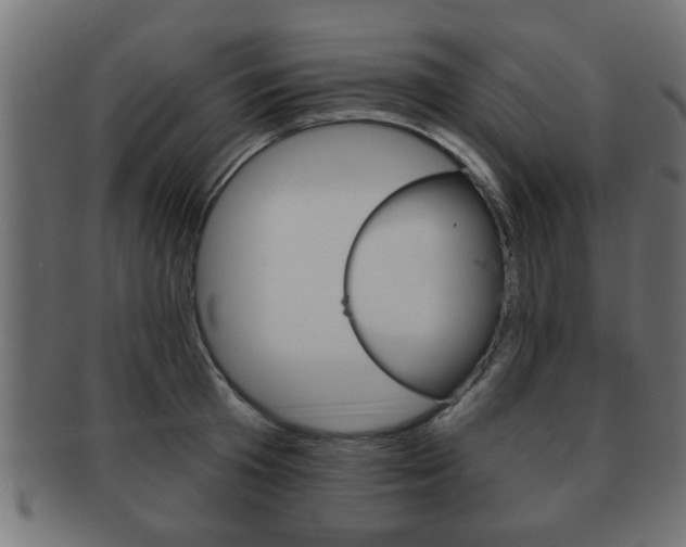 X0000091950801200709061038