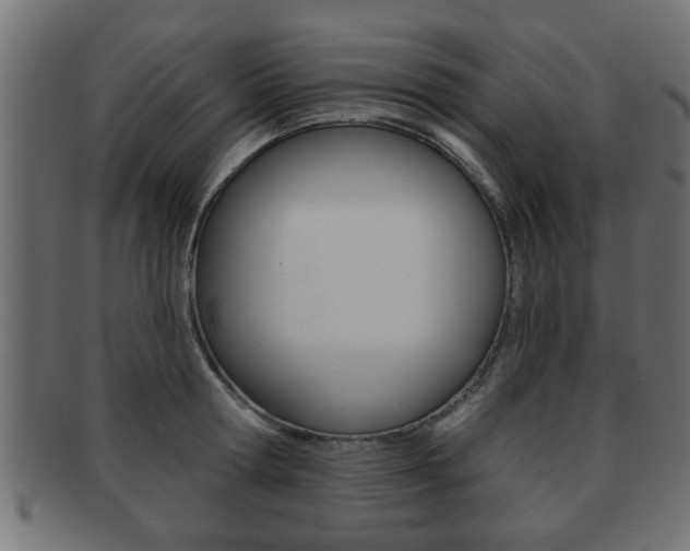 X0000091950802200709061038