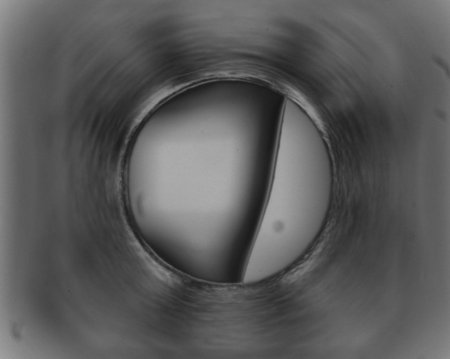 X0000091950803200709061038