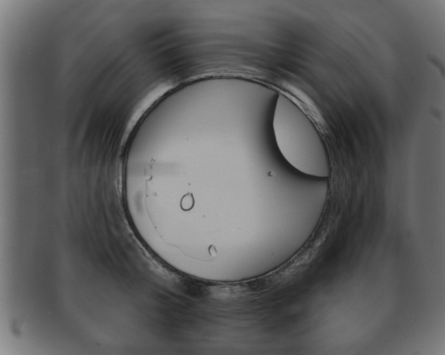 X0000091950804200709061038