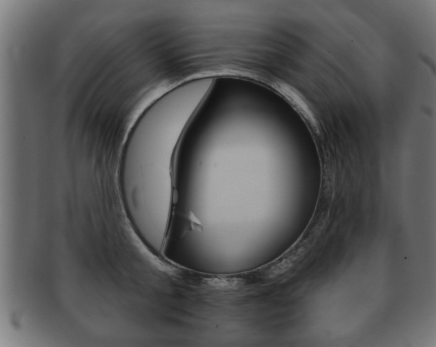 X0000091950805200709061038