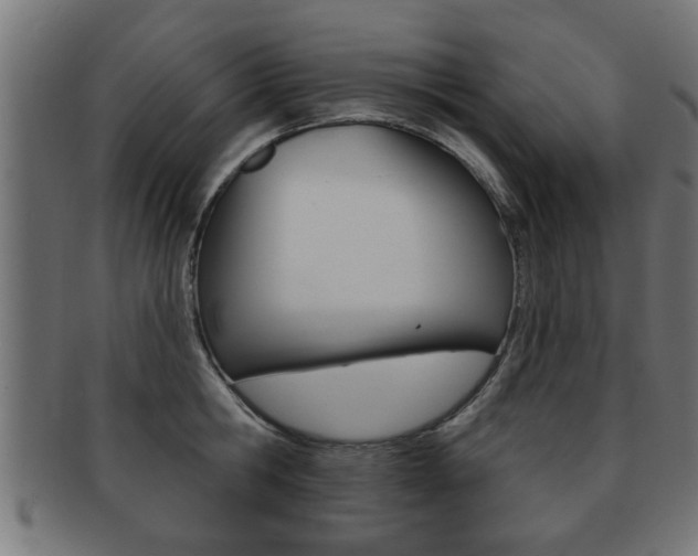 X0000091950806200709061038