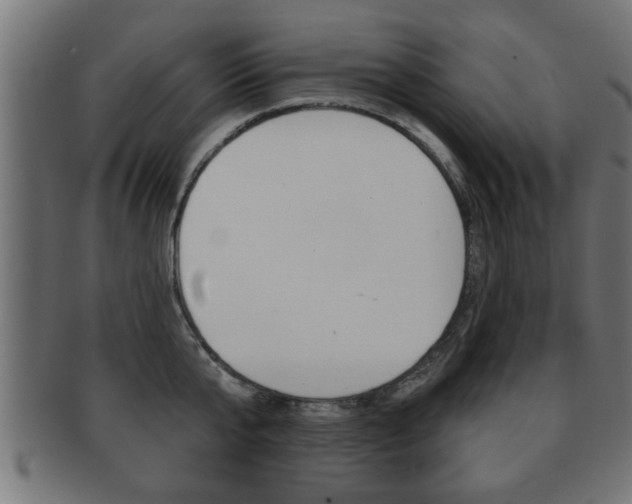 X0000091950807200709061038