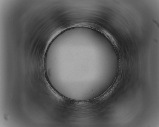 X0000091950808200709061038