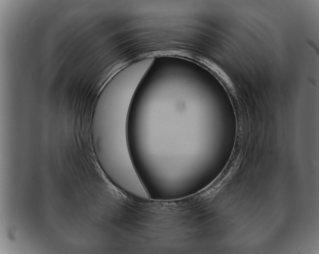 X0000091950809200709061038