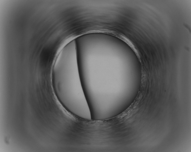 X0000091950811200709061038