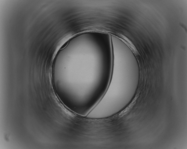 X0000091950812200709061038