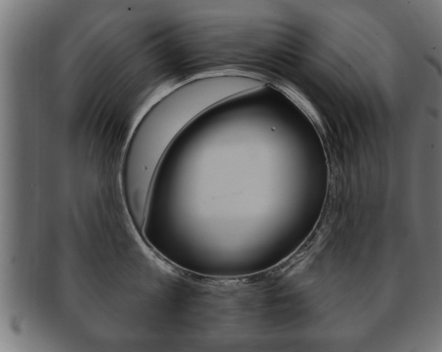 X0000091950813200709061038