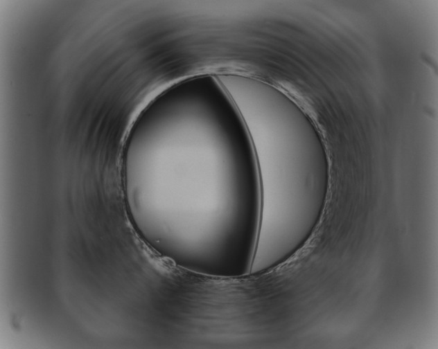 X0000091950816200709061038