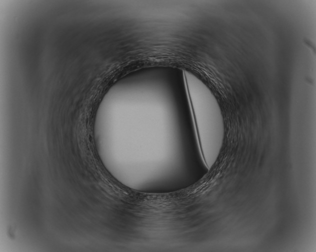 X0000091950817200709061038