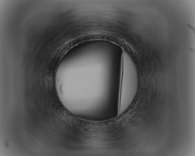 X0000091950821200709061038
