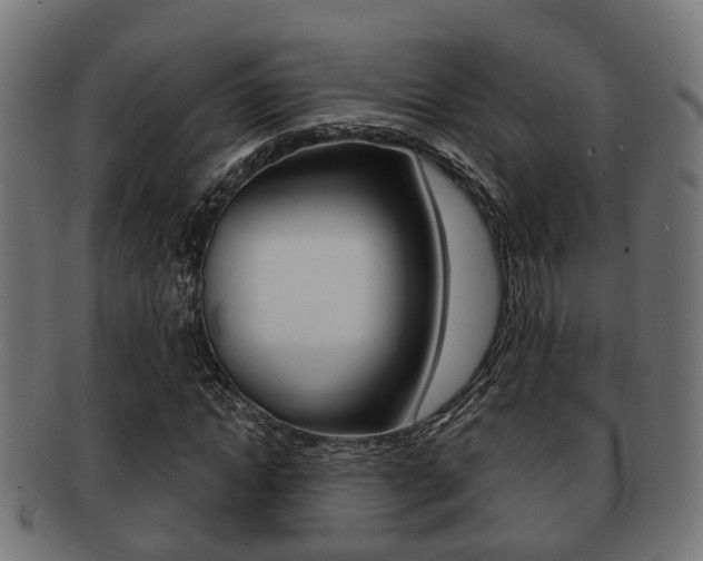 X0000091950822200709061038