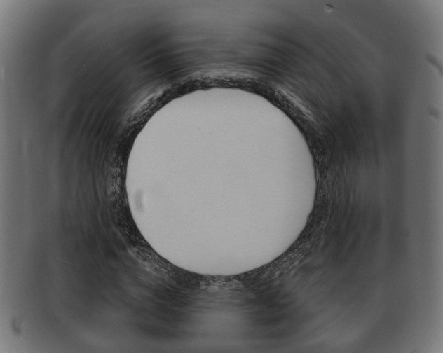 X0000091950824200709061038