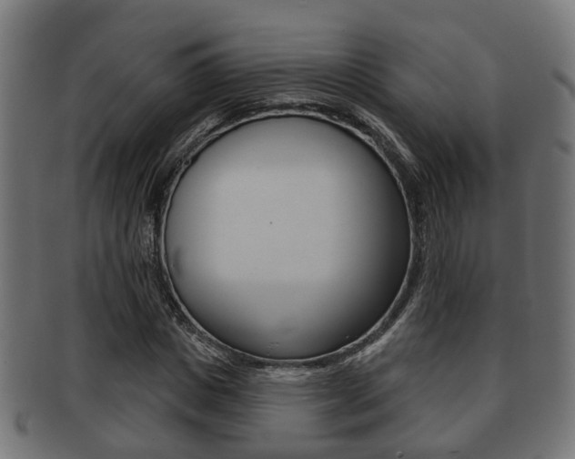 X0000091950825200709061038