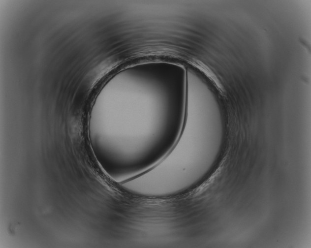 X0000091950826200709061038