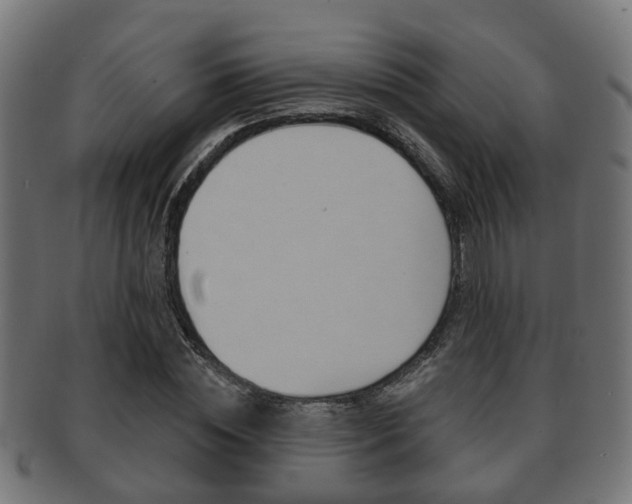 X0000091950828200709061038