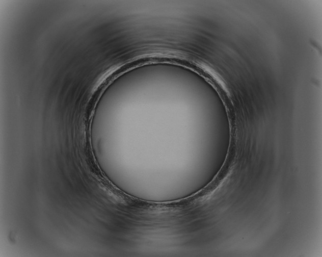 X0000091950829200709061038
