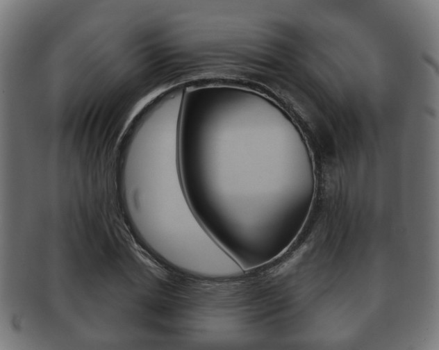 X0000091950830200709061038