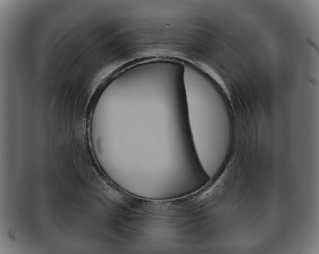 X0000091950831200709061038