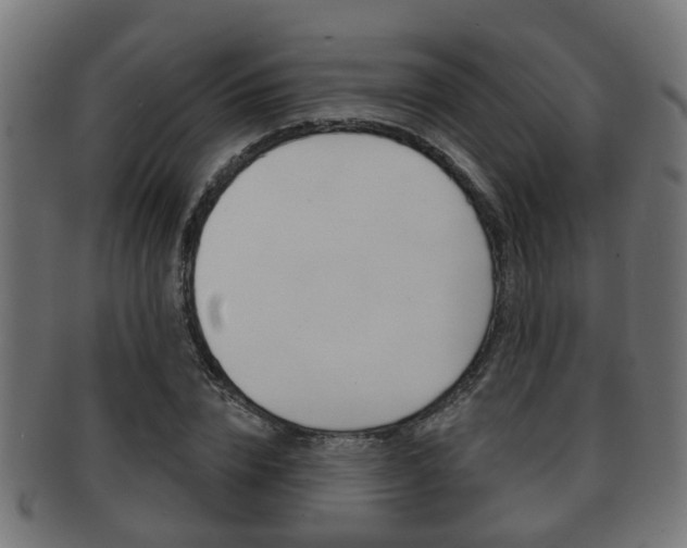 X0000091950832200709061038