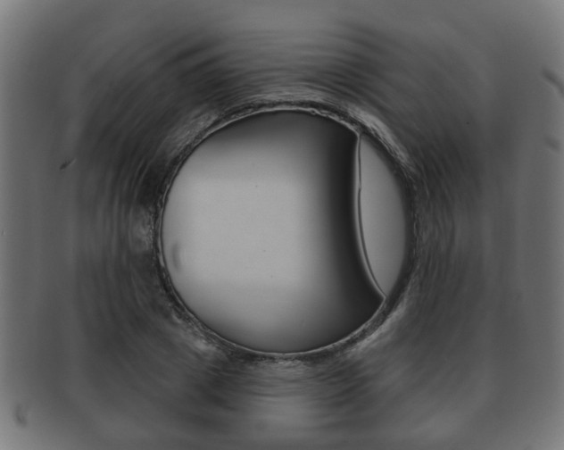 X0000091950833200709061038
