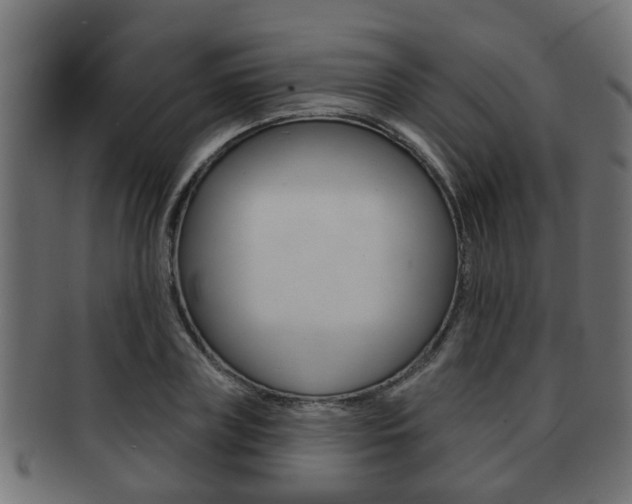X0000091950835200709061038
