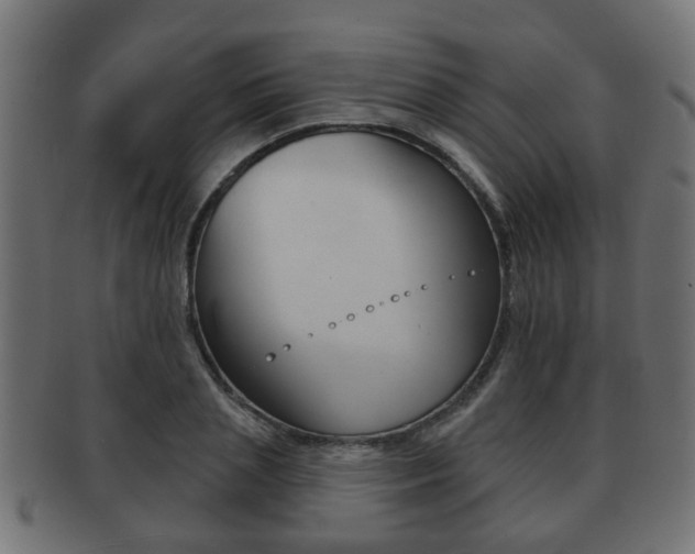 X0000091950837200709061038