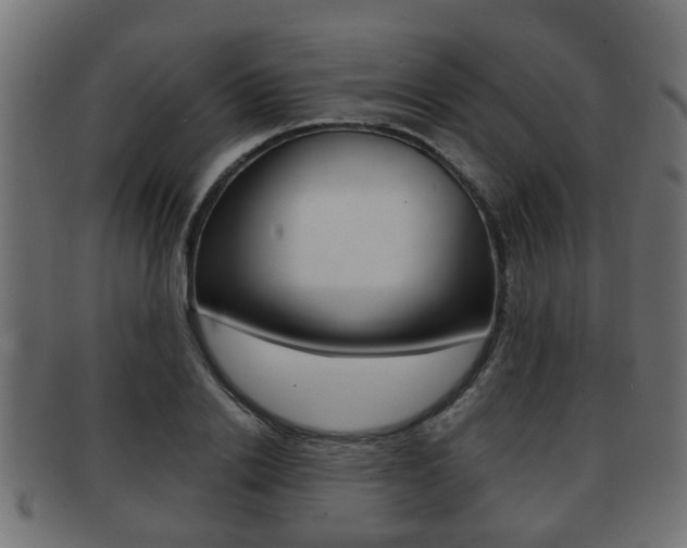 X0000091950838200709061038