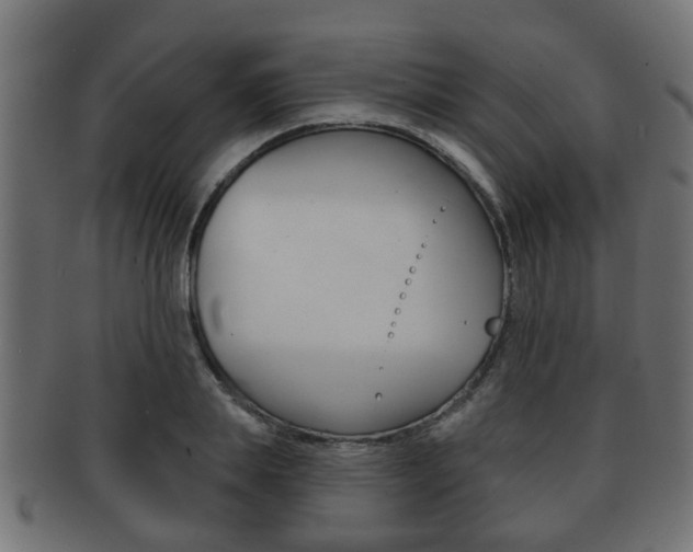 X0000091950839200709061038
