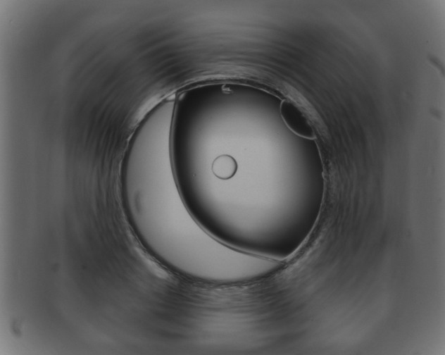 X0000091950842200709061038
