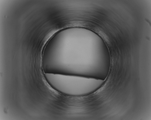 X0000091950844200709061038