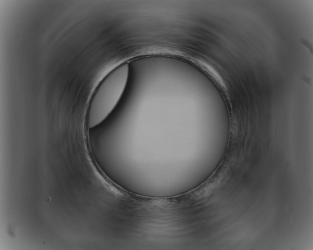 X0000091950847200709061038