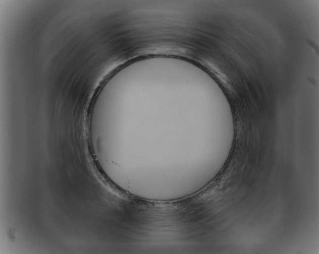 X0000091950848200709061038