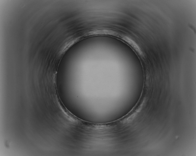 X0000091950849200709061038