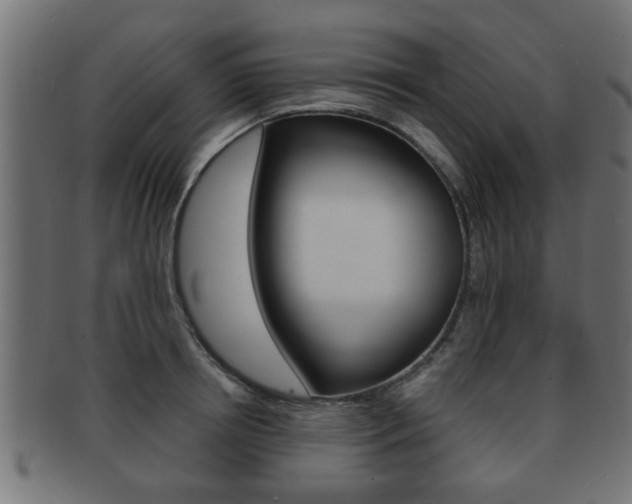 X0000091950850200709061038
