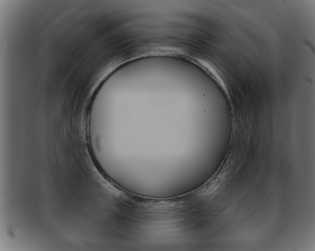 X0000091950851200709061038